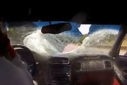 Racing Corvette Kills Bambi