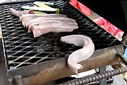 Rattle Snake Doesn't Like Grill