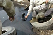 puppies in tar pitt rescue
