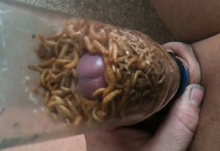 worms and slugs Eat Cock