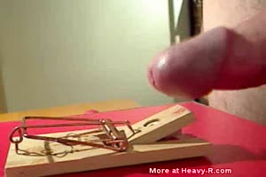 Penis vs Mousetrap