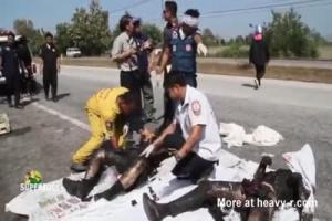 Badly Burned Corpses After Traffic Accident